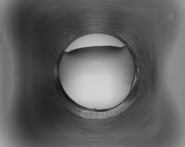 X0000100340048200806051234