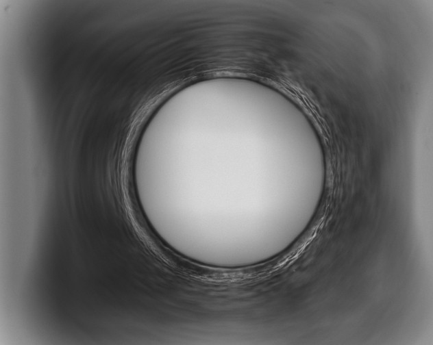 X0000100340049200806051233