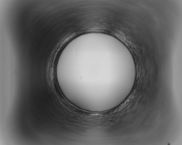X0000100340050200806051233