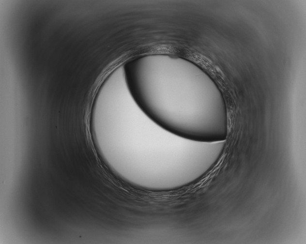 X0000100340051200806051233