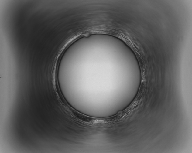 X0000100340052200806051233