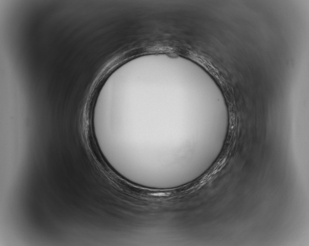 X0000100340053200806051233