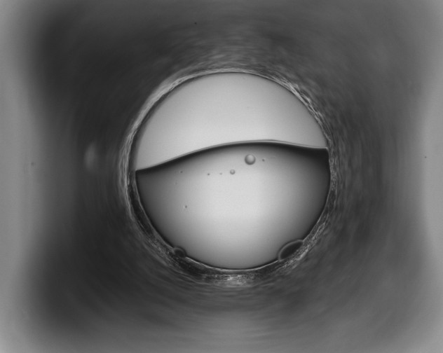 X0000100340056200806051233