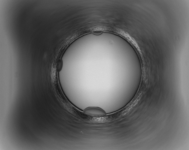 X0000100340057200806051233