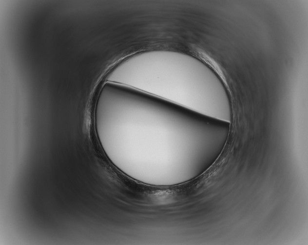X0000100340059200806051233