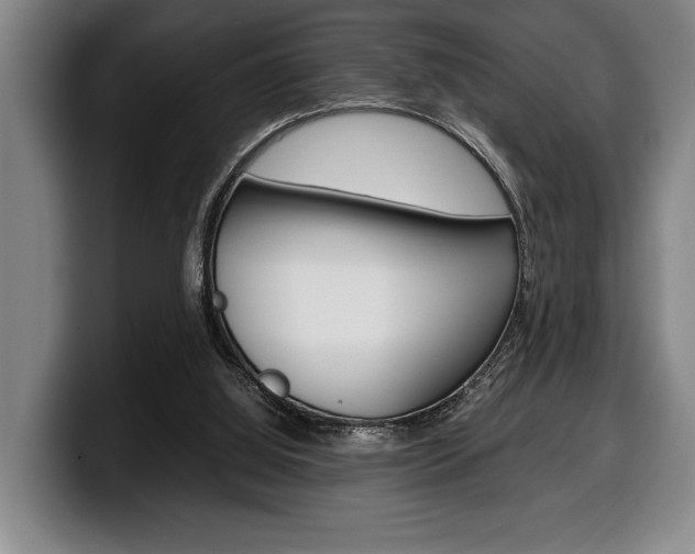 X0000100340060200806051233