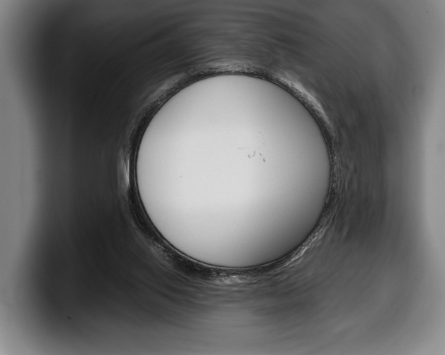 X0000100340062200806051233