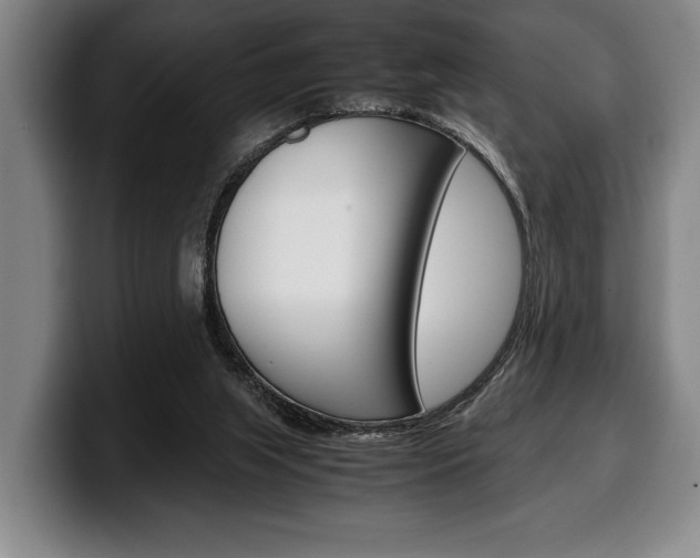 X0000100340063200806051233