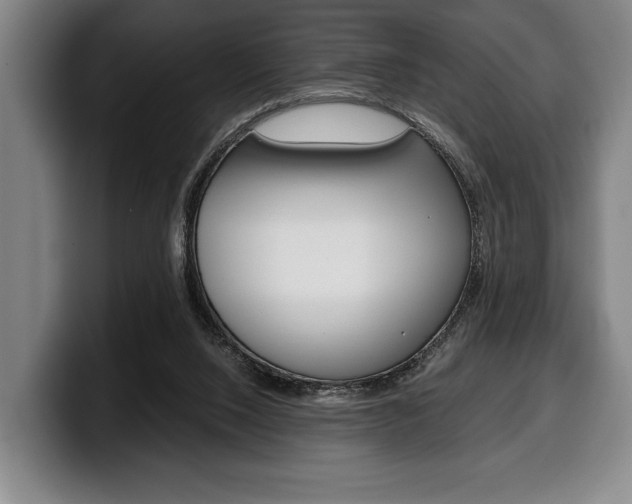 X0000100340064200806051234