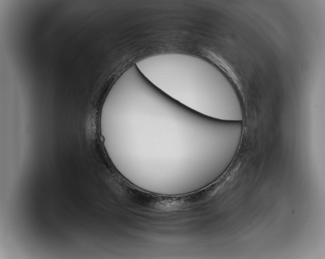 X0000100340065200806051234