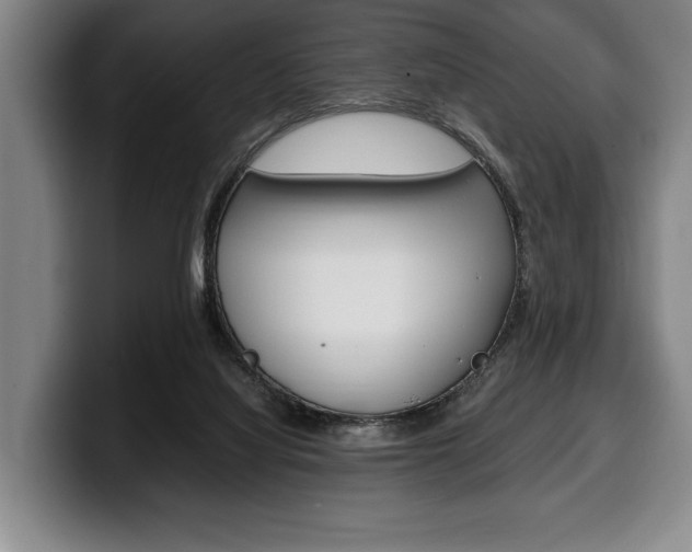 X0000100340068200806051234