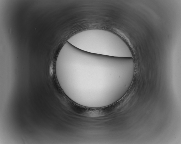 X0000100340069200806051234