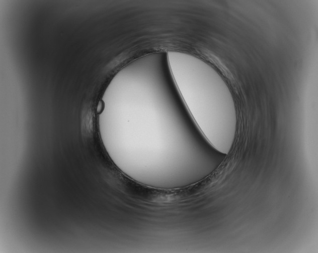 X0000100340071200806051234