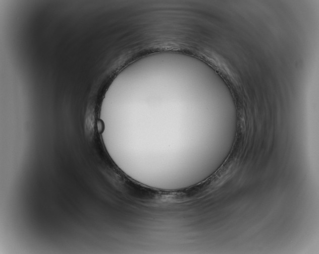 X0000100340072200806051234