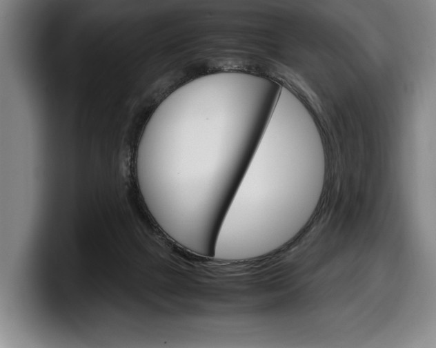 X0000100340073200806051234
