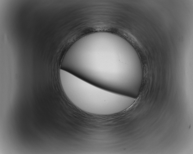 X0000100340074200806051234
