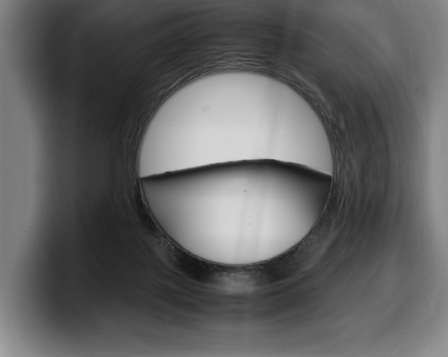 X0000100340075200806051234