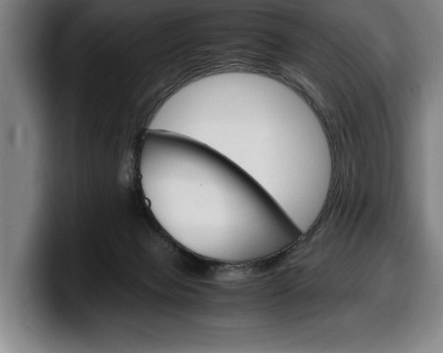 X0000100340077200806051234