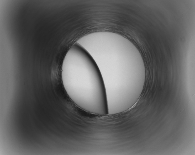 X0000100340078200806051234