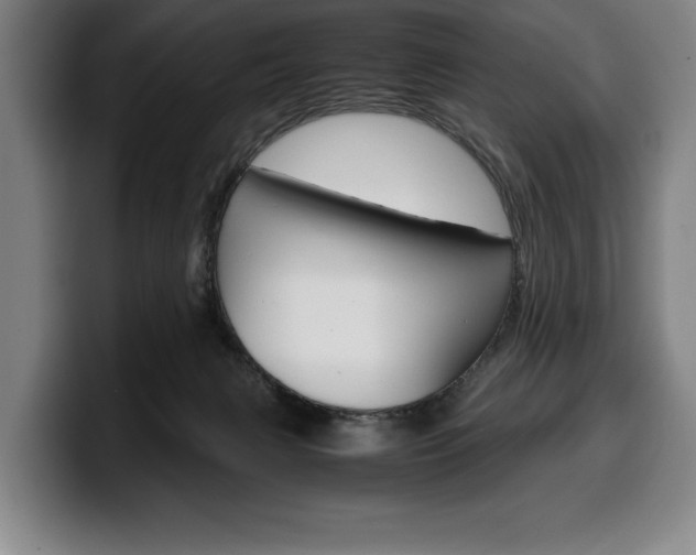 X0000100340079200806051234