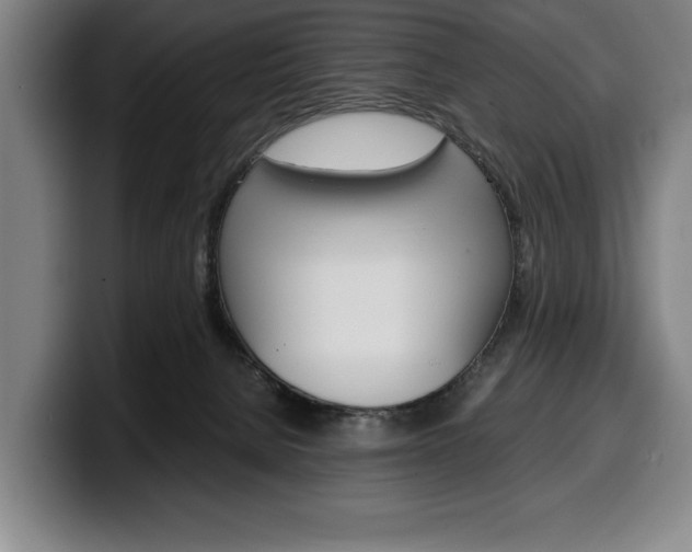 X0000100340080200806051234