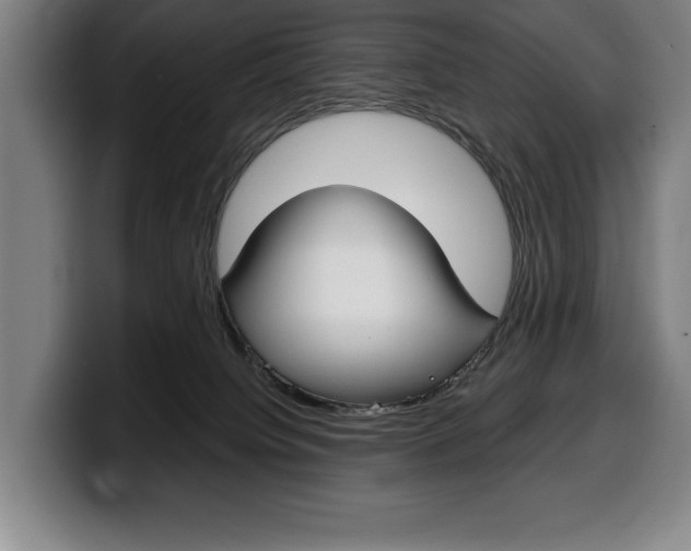 X0000100340084200806051234