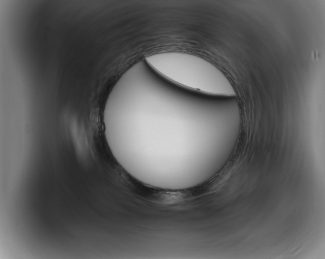 X0000100340085200806051234