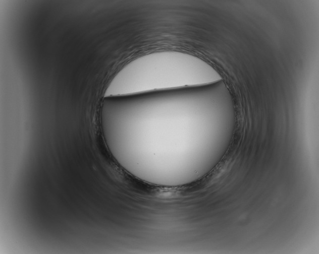 X0000100340088200806051234