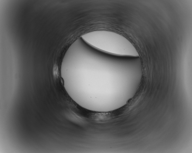 X0000100340089200806051234
