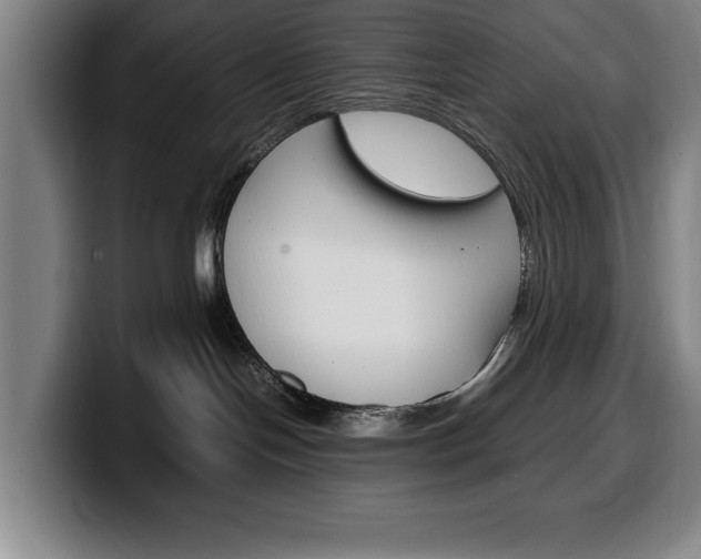 X0000100340094200806051234