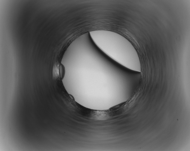 X0000100340095200806051234