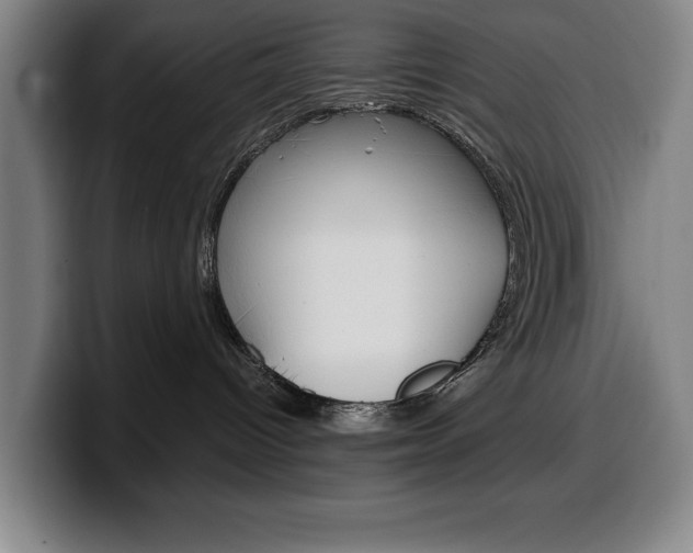 X0000100340096200806051234