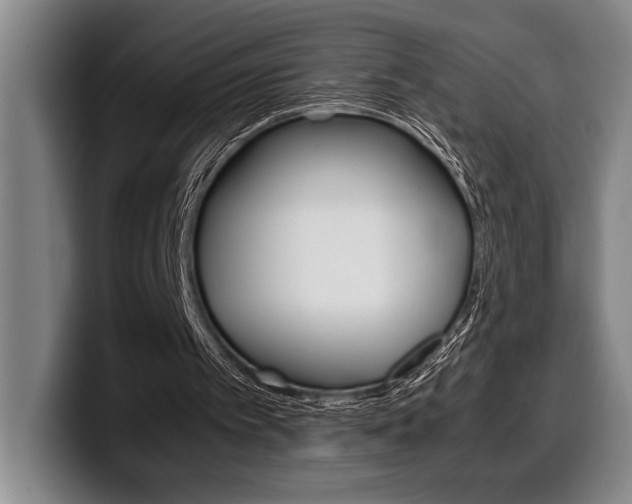 X0000100340097200806051233