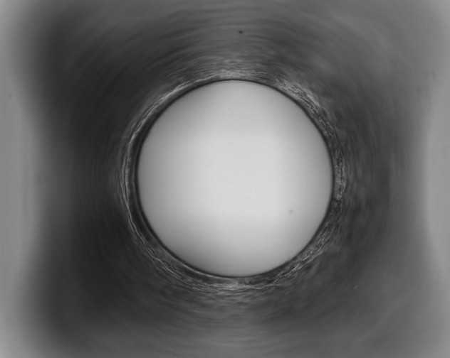 X0000100340098200806051233