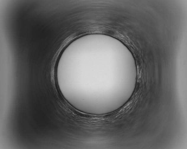 X0000100340099200806051233