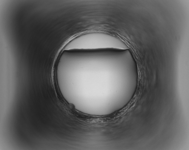 X0000100340100200806051233
