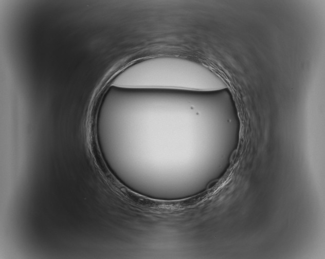 X0000100340101200806051233