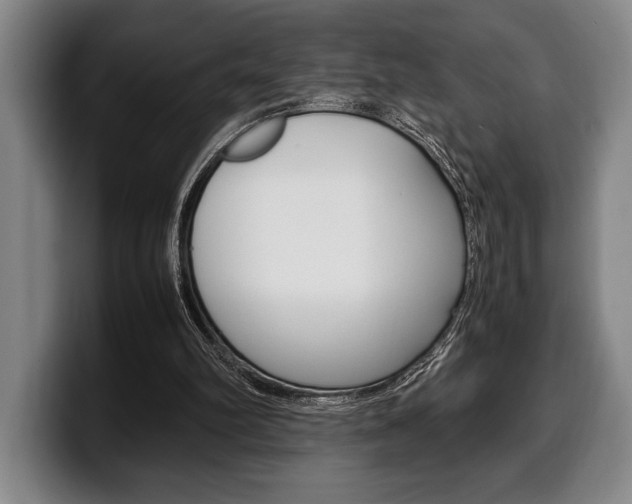 X0000100340102200806051233