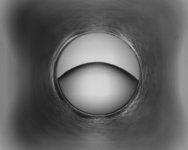X0000100340103200806051233