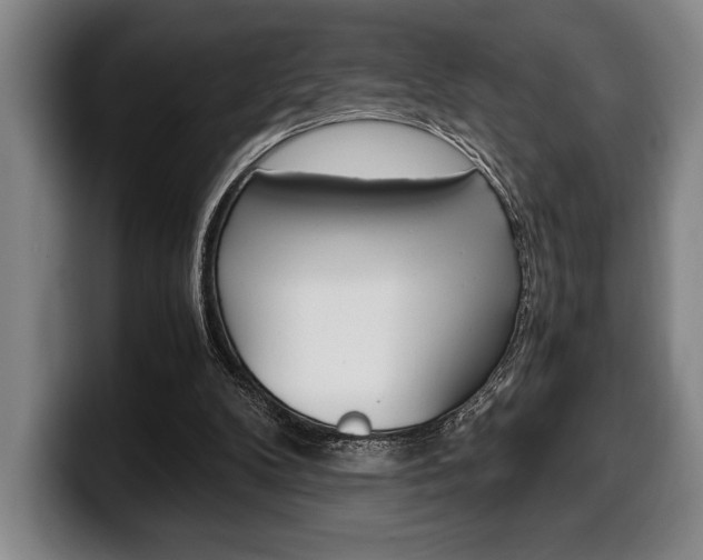 X0000100340104200806051233