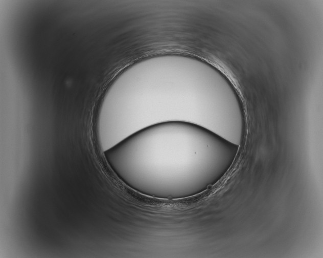 X0000100340105200806051233