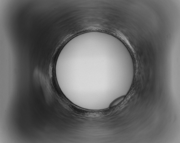 X0000100340106200806051233