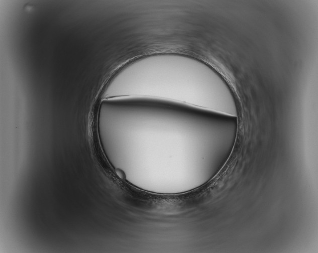 X0000100340107200806051233