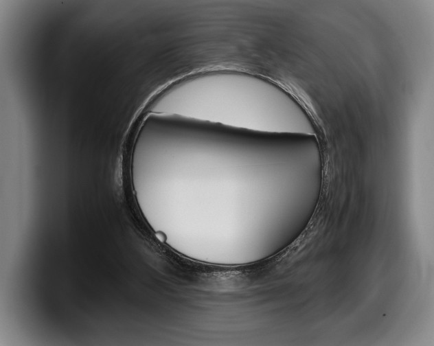X0000100340108200806051233