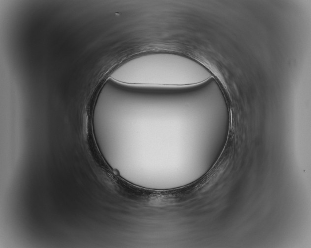 X0000100340109200806051233
