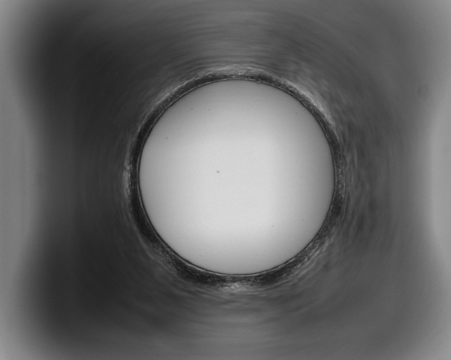 X0000100340111200806051233