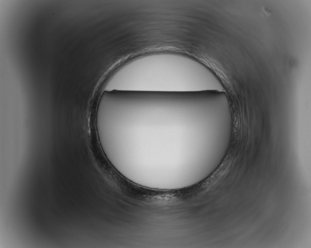 X0000100340112200806051233