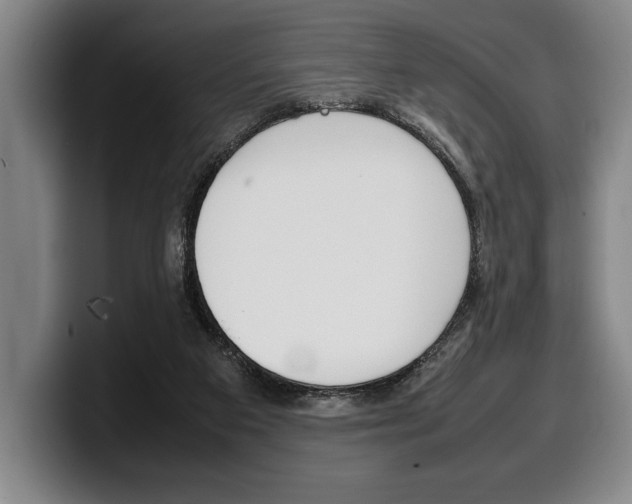 X0000100340113200806051233