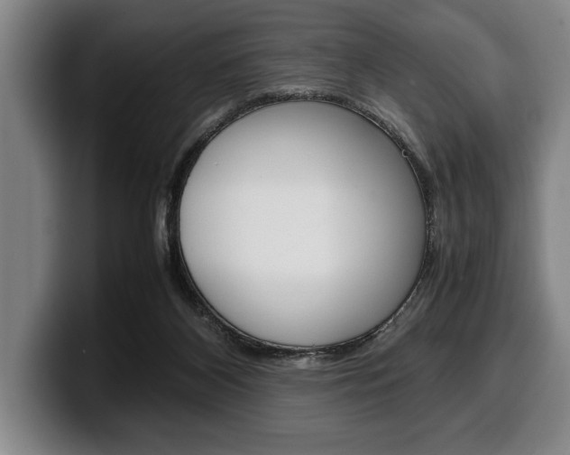 X0000100340116200806051233