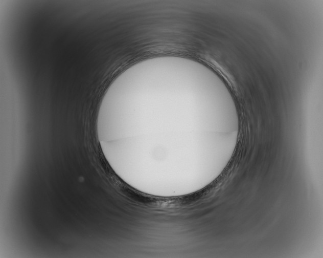 X0000100340117200806051233